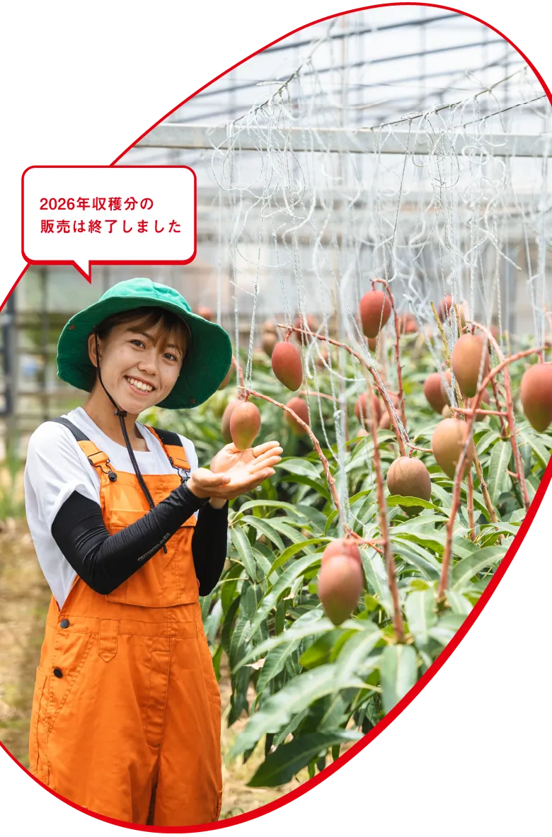ぷすぷすマンゴーの写真