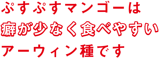 ぷすぷすマンゴーは癖が少なく食べやすいアーウィン種です