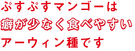 ぷすぷすマンゴーは癖が少なく食べやすいアーウィン種です
