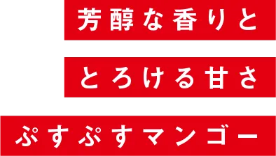 芳醇な香りととろける甘さ ぷすぷすマンゴー