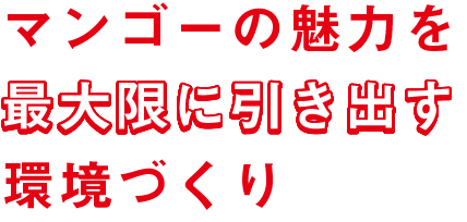 マンゴーの魅力を最大限に引き出す環境づくり