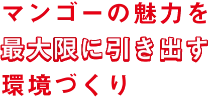 マンゴーの魅力を最大限に引き出す環境づくり